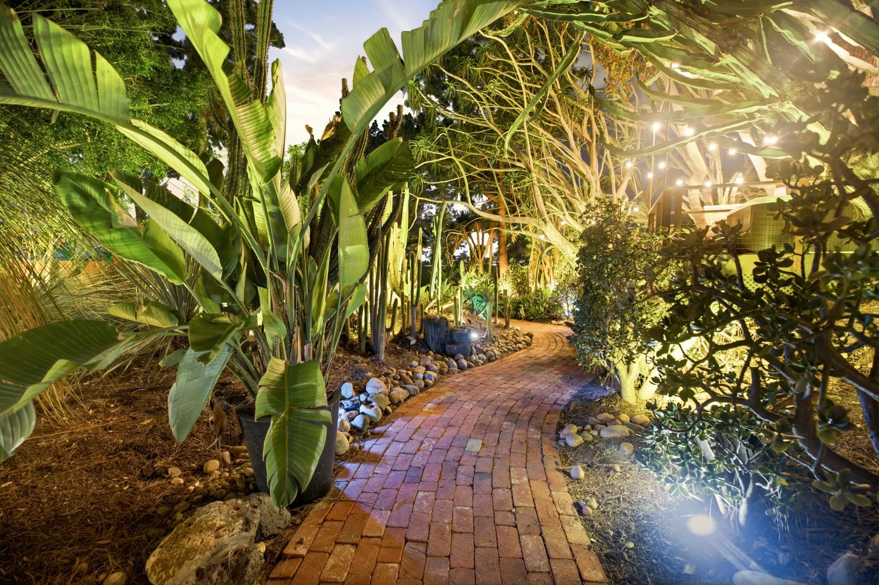Lit brick path through the tropical side of the garden