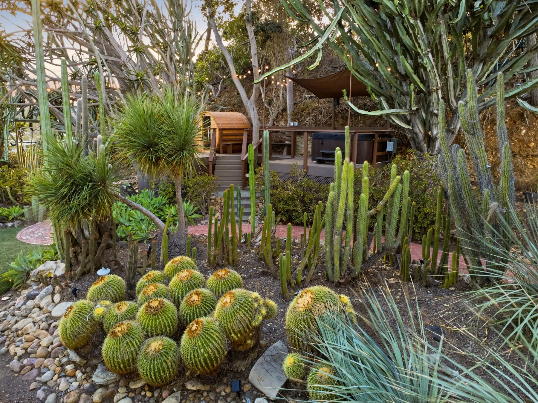 Golden barrel cactus beds below the sauna deck